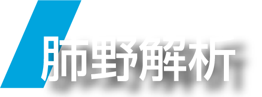 肺野解析