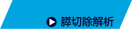 ▶ 膵切除解析